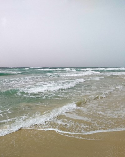 seascape 213