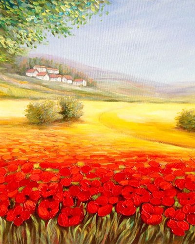 -N* 8970-Nurit Granot-נורית גרנות