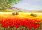 -N* 8970-Nurit Granot-נורית גרנות : Thumb 1