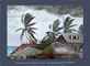 Winslow Homer-The Hurricane Bahamas  61x84-  556 : Thumb 1