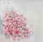 -N* 8817-Nurit Granot-נורית גרנות : Thumb 1
